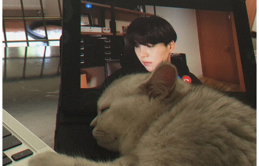 ✧ཊ9̣ṭḥℳạṛc̣ḥ‹ 　⚜ 　ཥṢọṇg̣˒ WOODZ ❚ ❝Eyes, Nose, Lips❞ - Sordid Methods