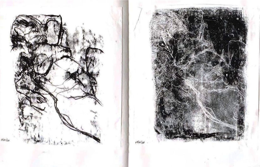 　　　 　　　 2022, marzo　―　incisione - Collection of Tintypes