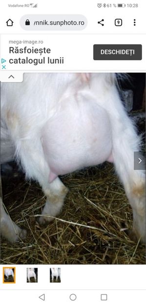 Screenshot_20220311_102813_com.android.chrome - Vand Schimb