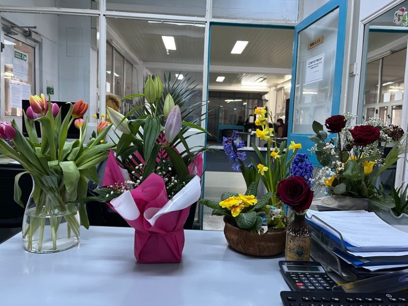 466C8ECD-20C2-4F77-817E-5B3B6BF97081 - Aranjamente licheni și flori