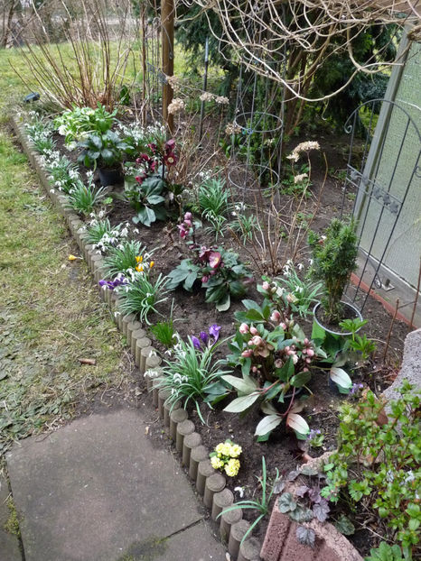  - 2022 - 01 - Primavara