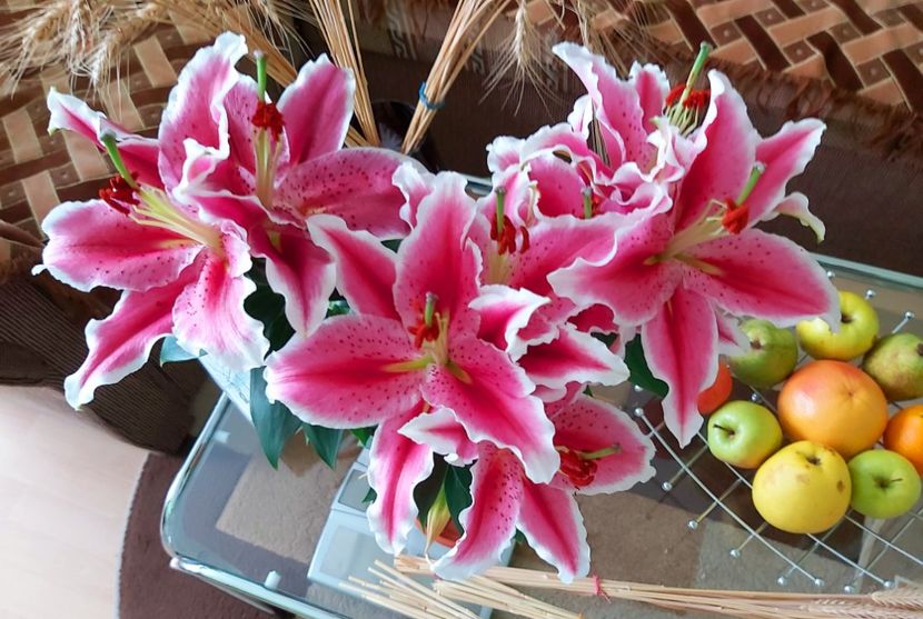  - Floricele diverse 2022
