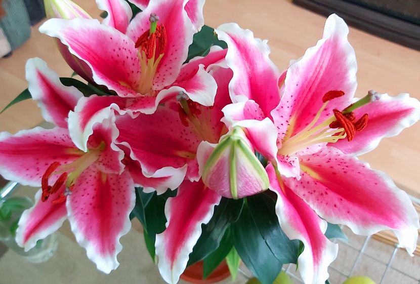  - Floricele diverse 2022
