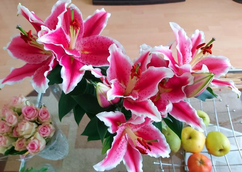  - Floricele diverse 2022