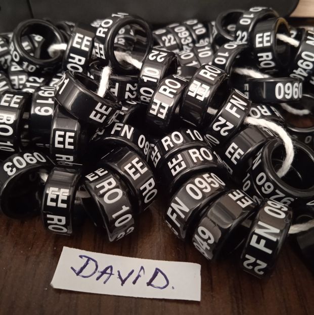 2022-EE 10 mm....-1.3 lei - Inele 2014