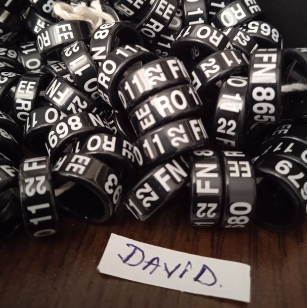 2022-EE 11 mm....-1.3 lei - Inele 2014