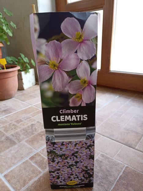 2022-16.03-Lidl - 33 Montana Rubens