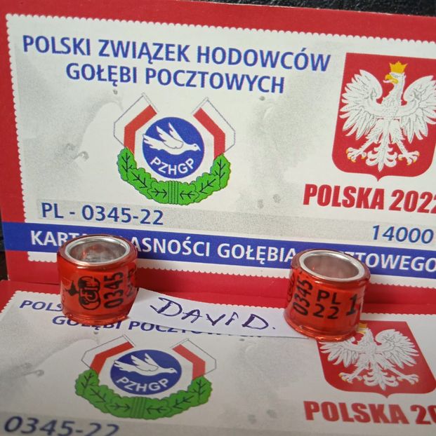 2022-Polonia FCI +talon....-5 lei - Inele 2014