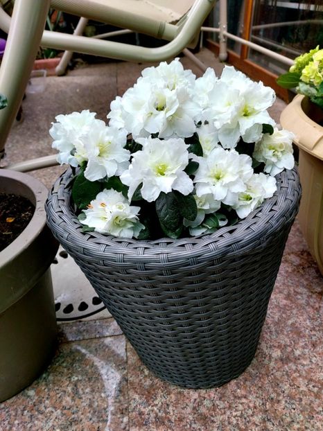  - Martie - aprilie 2022