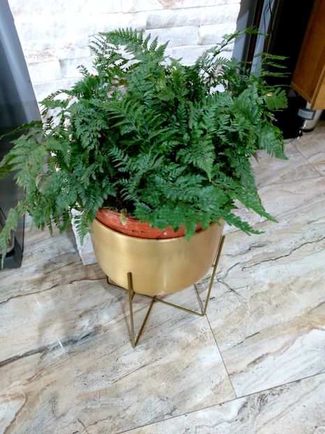  - Martie - aprilie 2022