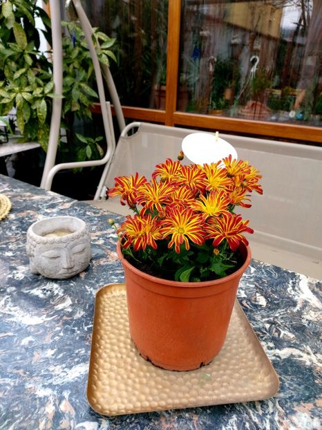  - Martie - aprilie 2022