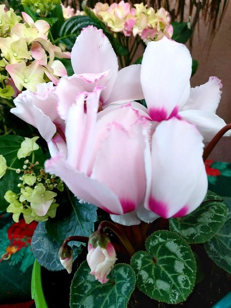  - Martie - aprilie 2022