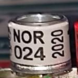 2020-Norvegia - Norvegia