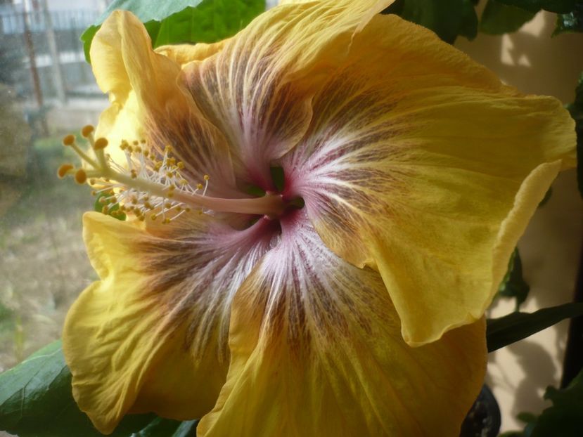 20.03.2022 - RK Daniela