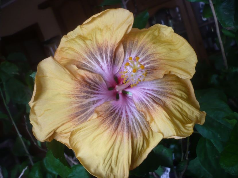 P1510436 - RK Daniela