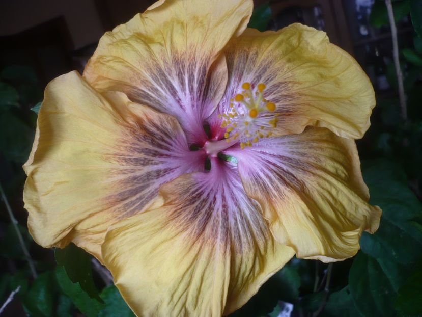 P1510437 - RK Daniela