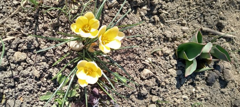  - Sub tutela soarelui