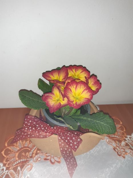  - Flori de Primavarã-Varã 2022