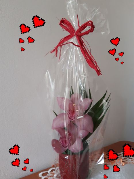 8 Martie M - Flori de Primavarã-Varã 2022