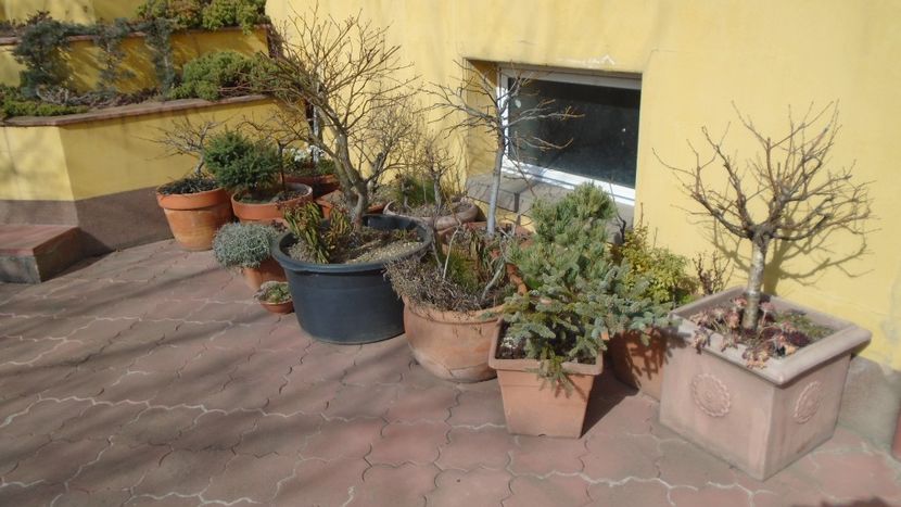 20 mart. 2022 - Echinoctiul de primavara - Primavara 2021-2022-2023