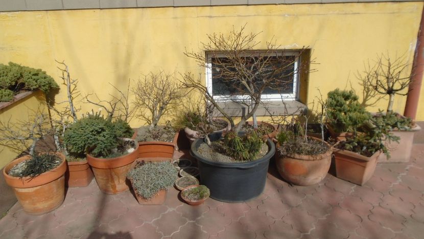 20 mart. 2022 - Echinoctiul de primavara - Primavara 2021-2022-2023