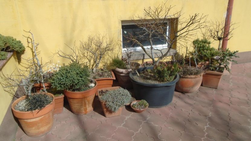 20 mart. 2022 - Echinoctiul de primavara - Primavara 2021-2022-2023