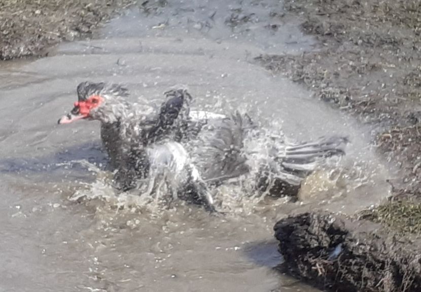  - 0001 matca 2022 lot 2