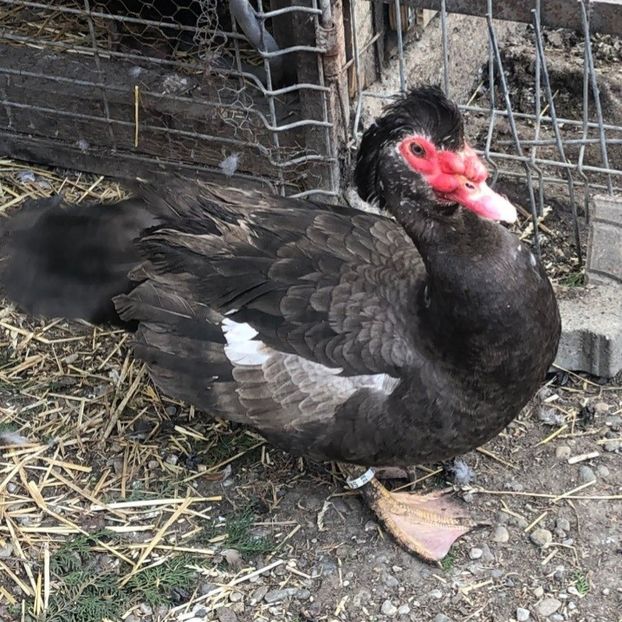 Screenshot_20220313-110646_WhatsApp - 0001 matca 2022 lot 3