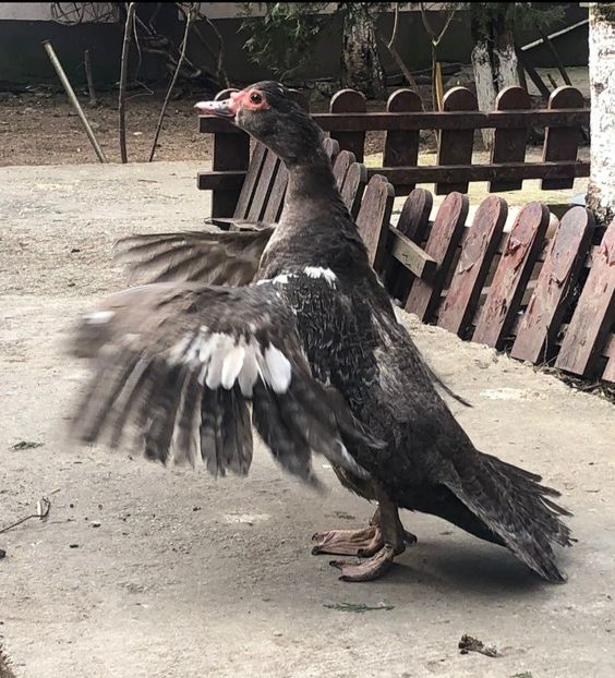 Screenshot_20220313-110741_WhatsApp - 0001 matca 2022 lot 3