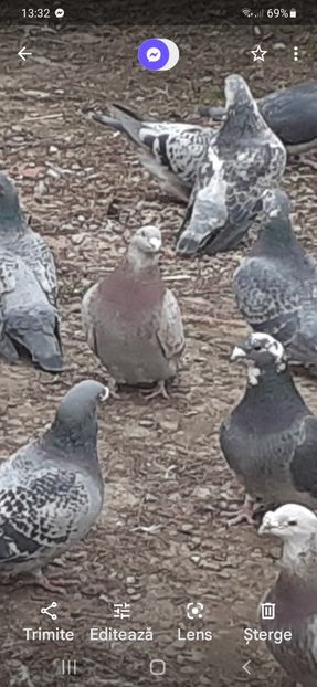 Screenshot_20220314-133203_Photos - 0an2022