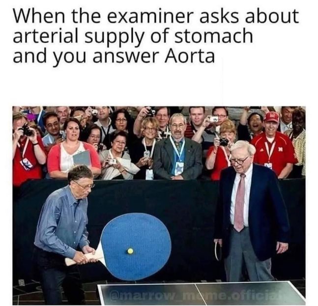 B81ABD51-A248-4C3A-9819-8E447153C30B - x what would mu sama say