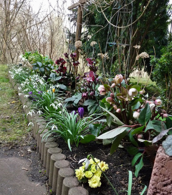  - 2022 - 01 - Primavara