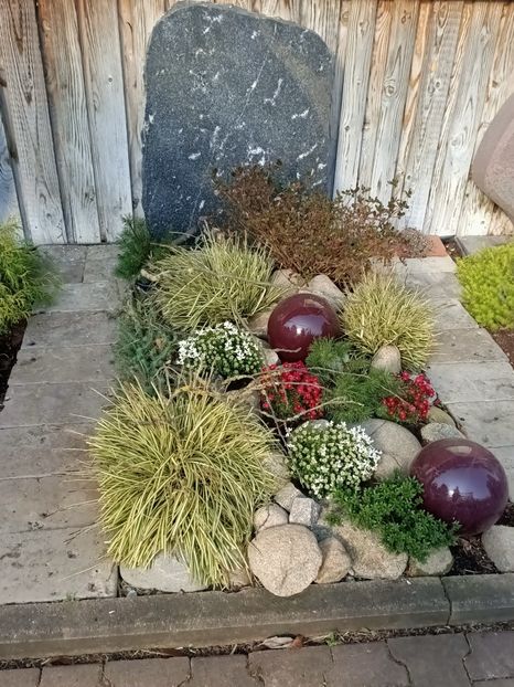 Img.2022.03.25 - Magazinul