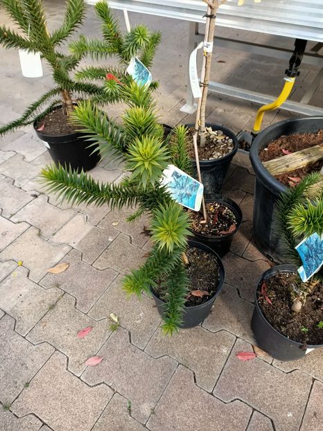 Img.2022.03.25 - Magazinul