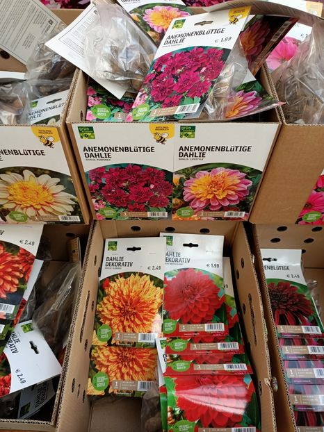 Img.2022.03.25 - Magazinul