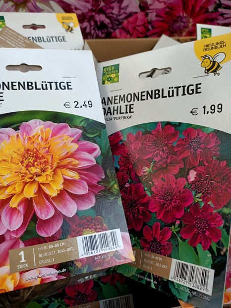 Img.2022.03.25 - Magazinul