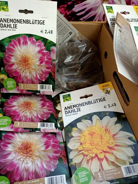 Img.2022.03.25 - Magazinul