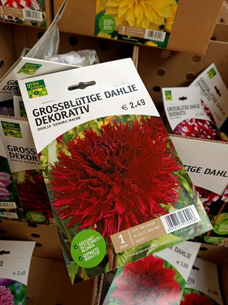 Img.2022.03.25 - Magazinul