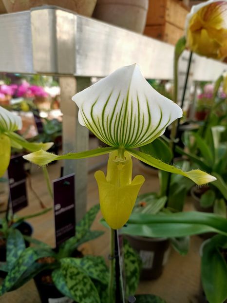 Img.2022.03.25 - Magazinul