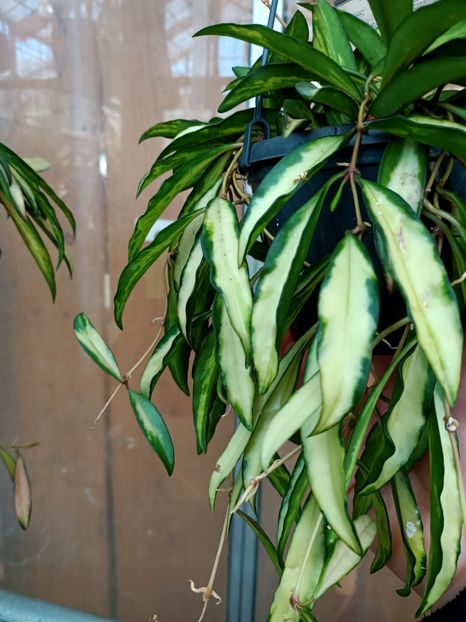 Img.2022.03.25 - Magazinul