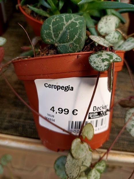 Img.2022.03.25 - Magazinul