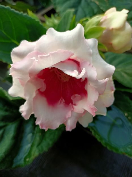 Img.2022.03.25 - Magazinul