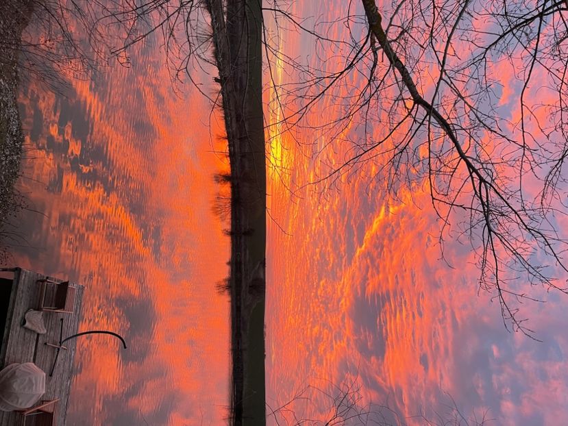 BA8CD66E-1F95-4DD6-9245-BD38BB1F22D3 - Apus  de soare