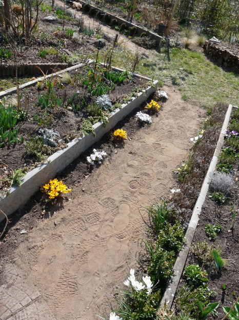  - 2022 - 01 - Primavara