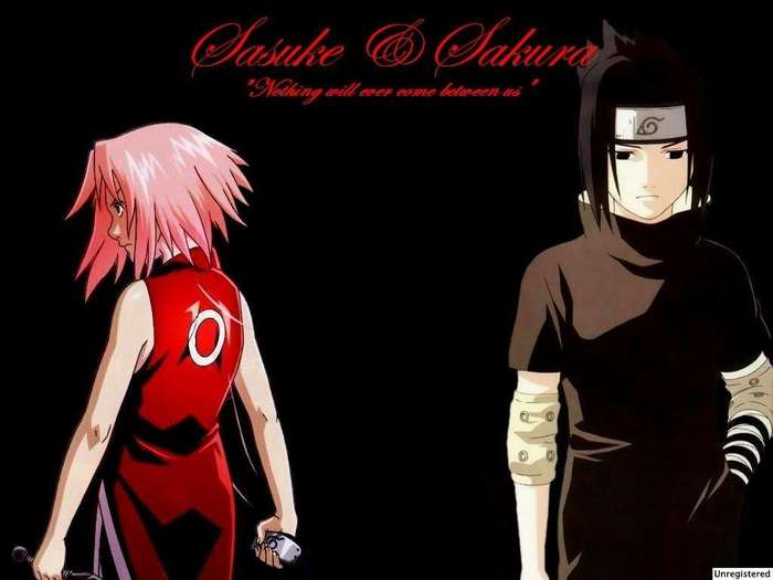 sakura-and-sasuke - sasuke_sakura