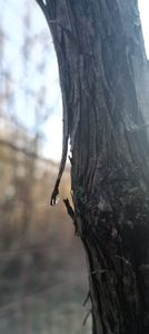 IMG-20220328-WA0038 - Sub tutela soarelui