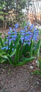 IMG-20220328-WA0026 - Sub tutela soarelui