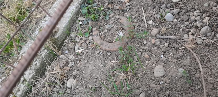 IMG-20220328-WA0017 - Sub tutela soarelui