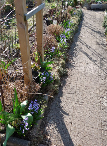  - 2022 - 01 - Primavara