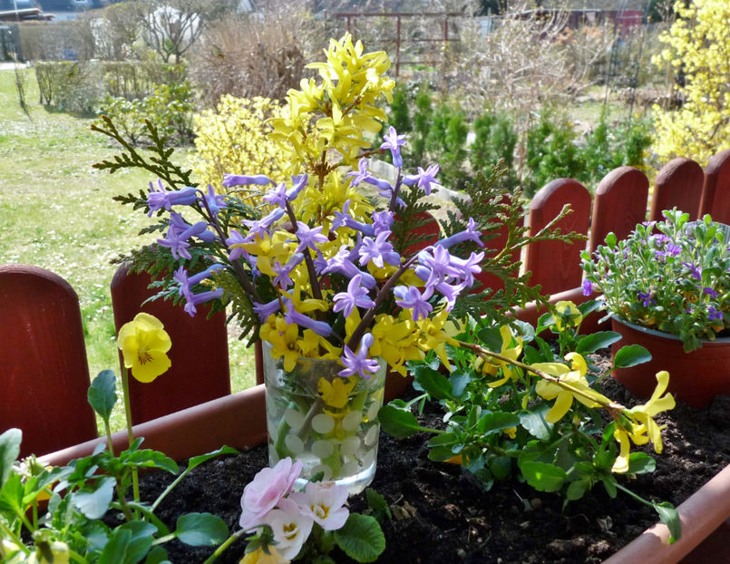  - 2022 - 01 - Primavara